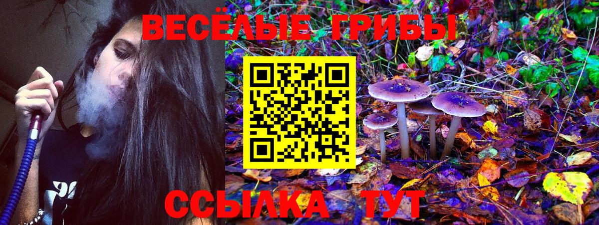 Псилоцибиновые грибы мухоморы Ейск